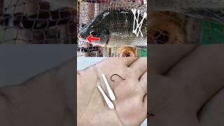 Making fishing bait from cotton buds targeting large tilapia fish #fishing #fishbait #tipsandtricks