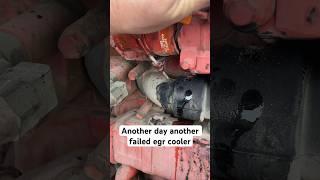 Failed egr cooler on this cummins isx #mechanic #diesel #peterbilt #cummins #isx #repair #subscribe