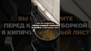 Перед каждой уборкой кипячу лавровый лист #советы #дом #лайфхаки