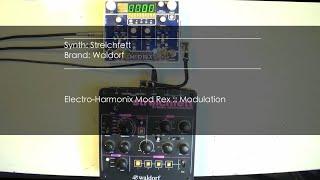 Waldorf Streichfett + Electro-Harmonix ModRex