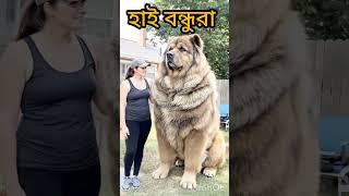 Animal #doglover #farmanimalct #seotutorial #funny #seotips #farming #pets #seocourse #animals