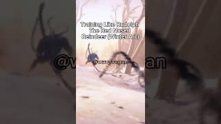 WINTER ARC WORKOUT