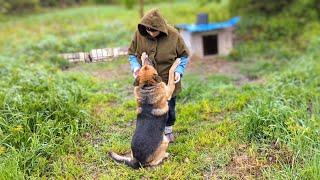 Покушение на Тяпу, новый забор и овчарка Цезарь