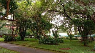 Kerala Agricultural university | Thrissur