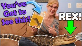 Storytime with our Alligator Rex!