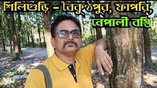 Siliguri - Baikunthapur Forest, Fapri, Nepali Basti #northbengal