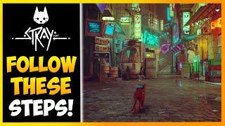 Stray - Where Is Clementine's Apartment (How To Find Clementine)