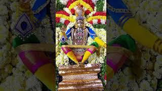 ayyappan Alangaram - Naresh Swami Alangaram 9578929606