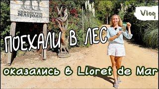 ВЛОГ лес секвойи и что там с пляжем в Lloret de Mar