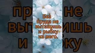 АНЕКДОТ. #shortvideo #сундучок #смешныеанекдоты #весело #смехотдуши #юмор #рекомендую #сатира #смех