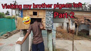 visiting my brother pigeon loft part 2|pets paradise