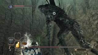 Dark Souls 2 - GameOrNought Plays - My first Boss fight goes well