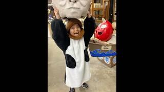 素が濃ゆい人からのジョジョ