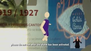 Museo Violeta Parra - Video de seguridad