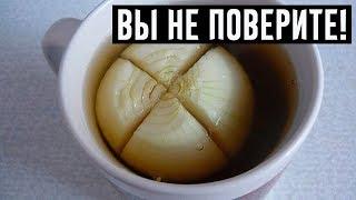 Бросьте луковицу в чай — и кишечник станет работать как часы!