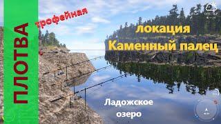 Русская рыбалка 4 - Ладожское озеро - Плотва трофейная с мыса перед базой