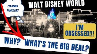 Disney World Parks, Rides, Attractions - Why Are People So Fanatical About All This?