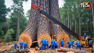 Extreme Dangerous Fastest Big Chainsaw Cutting Tree Machines | Monster Stump Removal Excavator #59