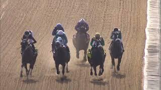 The 18th Running of The Tax Free Shopping Distaff Race 7 Master 2024 09 19