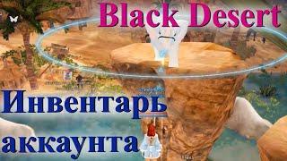 Black Desert инвентарь аккаунта // квест на инвентарь аккаунта в бдо // фрагменты рисунка