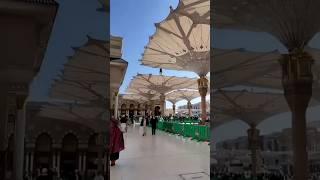 madeena #virelshorts  YouTube short #saba islamic malumaat