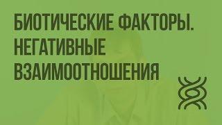 Биотические факторы. Негативные взаимоотношения между организмами. Видеоурок по биологии 11 класс