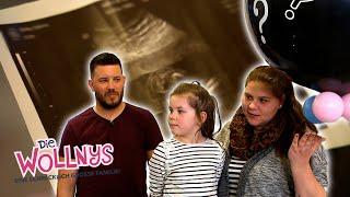 Baby-Überraschung bei Sylvana und Flo! ​ | Die Wollnys #wollnyclassics #157