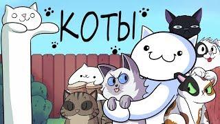 Наши Котики :3 | Our Cats :3 | TheOdd1sOut | James | Джеймс