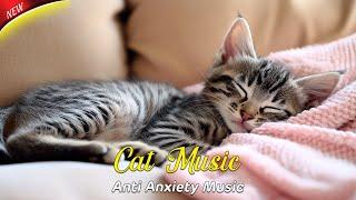 Gentle Melodies for Cats: Soothing Music to Reduce Anxiety and Create a Calm, Relaxing Space 