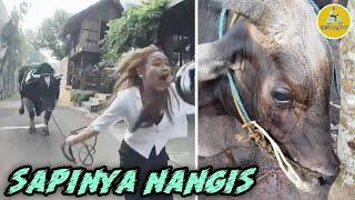 MOMEN LUCU LEBARAN IDUL ADHA | LUCU VIRAL