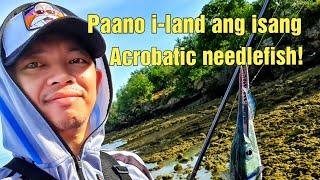 Fishing Vlog 001 | Newbie Tips | Paano i-land ang needlefish once may strike