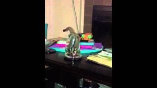 Funny sugar glider in cup