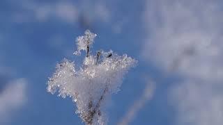 Beads of Sun and Snow