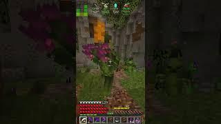 Give me all your wooden chests! - Vault Hunters 1.18