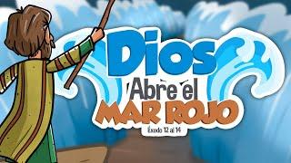 Dios abre el Mar Rojo ️  | Historia de la Biblia | Mi Primera Biblia | 23