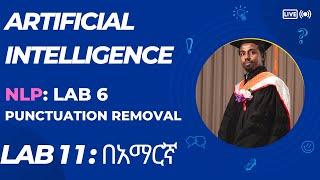 Punctuation Mark Removal: NLP Data Preprocessing for Deep Learning  በአማርኛ (Lab 11)