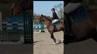 Fun in the sun showjumping. This day might not make it to a vlog!  #badmintonprep #horseriding