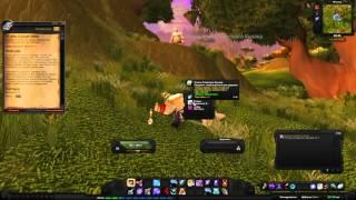 World of Warcraft Quest: Не верь глазам своим (id=9917)