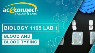 Biology Lab || Blood and Blood Typing