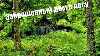 ДОМА В ЛЕСУ! ЧТО С НИМИ НЕ ТАК? Разведка вдоль рек! #кладоискатель #treasurehunting #metaldetecting