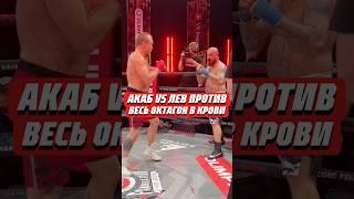 ЛЕВ ПРОТИВ VS АКАБ | ЖЕСТКАЯ РУБКА | @HardcoreFightingChampionship #левпротив #попмма #popmma