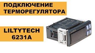 Терморегулятор (контроллер) для инкубатора Lilytech 6231a. Подключение и настройка