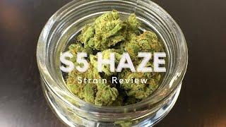 S5 Haze Strain Review - ISMOKE