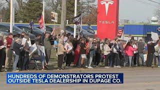 Group holds 'Tesla takedown' rally outside Lisle dealership, protesting Elon Musk's DOGE