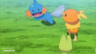 Mudkip likes to swim