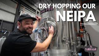 The Ultimate Guide To Dry Hopping - NEIPA