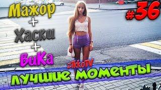 Мажор, Хаски, ВиКа и Картман | Лучшие моменты #36