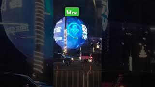 Moa view