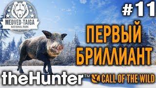 theHunter call of the wild #11  - Первый Бриллиант - Револьвер, Арбалет - Кабарга, Лось, Кабан