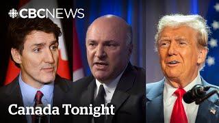 Kevin O'Leary says Canada’s economy in ‘free-fall,’ Trudeau should go | Canada Tonight